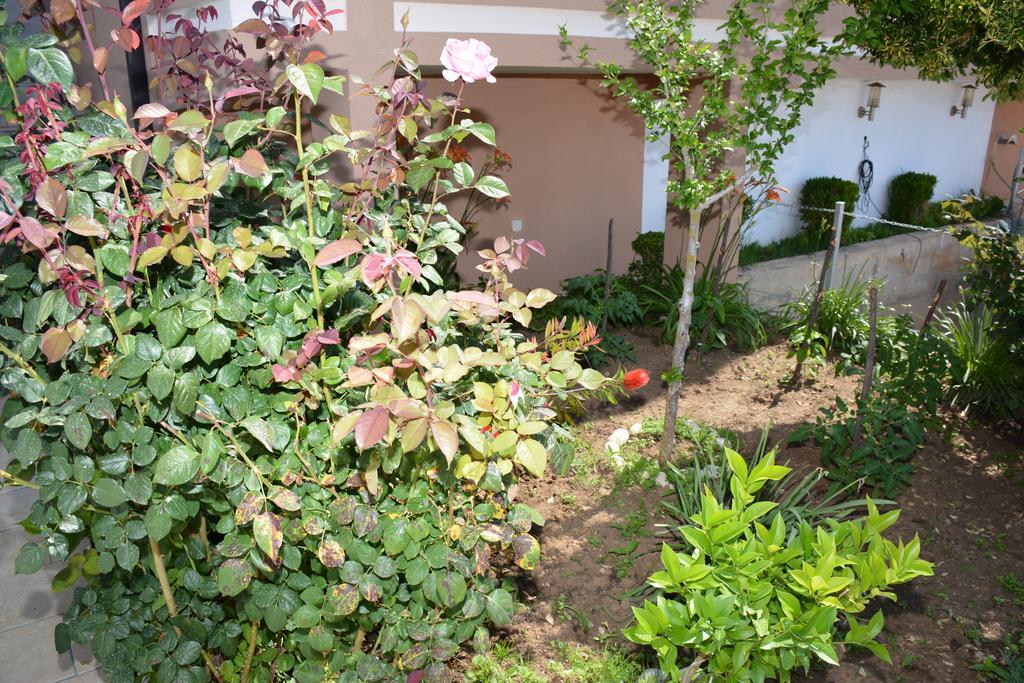 Guest House Evropa 2 Улцин Екстериор снимка